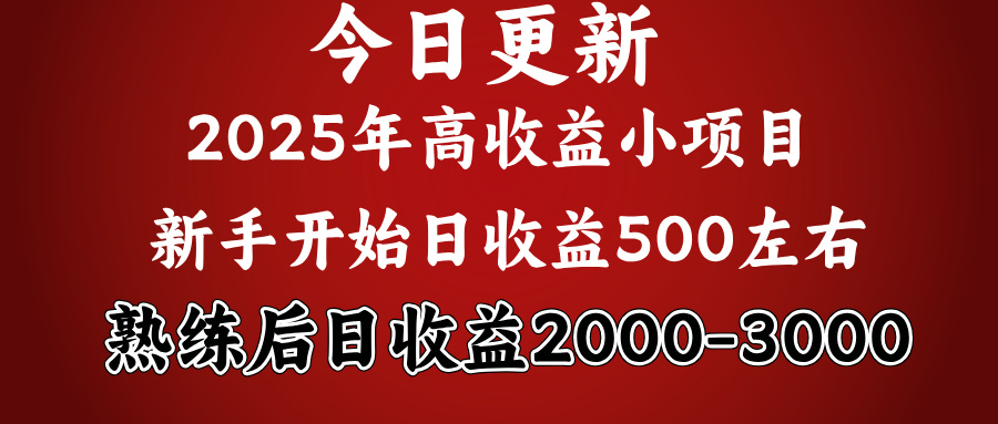 2025开年好项目，新手日收益500+ 熟练掌握后，日收益平均2000多-知创网