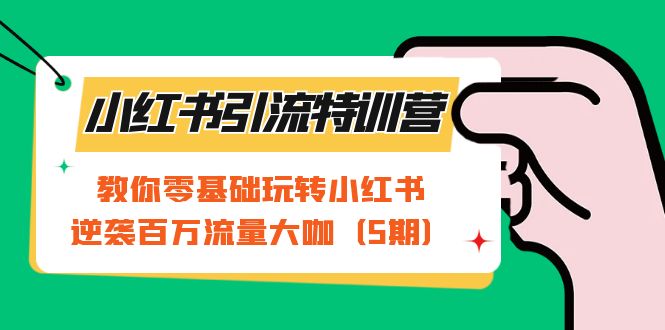 小红书引流特训营-第5期：教你零基础玩转小红书，逆袭百万流量大咖-知创网