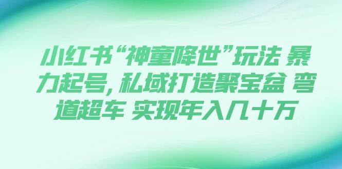 小红书“神童降世”玩法 暴力起号,私域打造聚宝盆 弯道超车 实现年入几十万-知创网